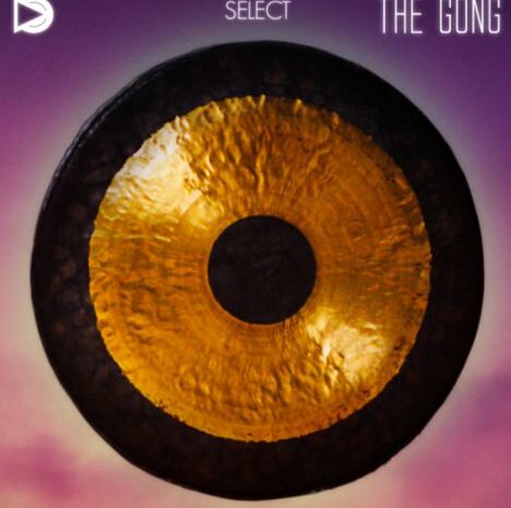 SampleScience – The Gong
