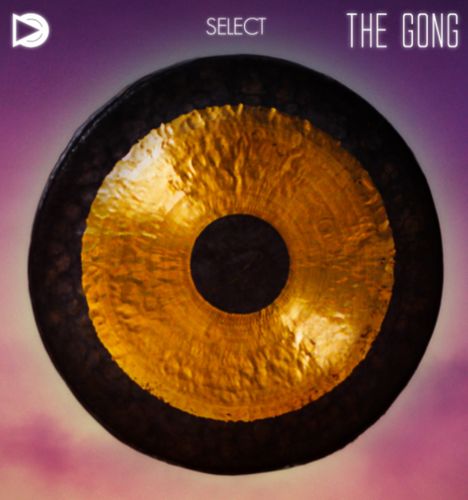 SampleScience The Gong