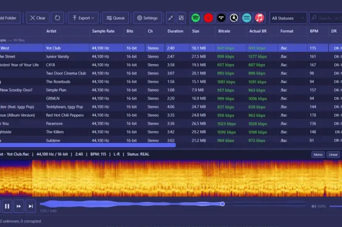 AudioAuditor v1.8.0 STANDALONE